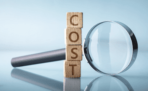 What are the costs involved, and how are they structured?