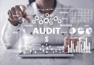 SEO Site Audit Tool